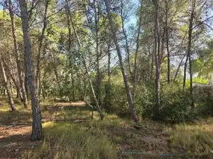 Rustikales Grundstück zum Verkauf in Partida Cumbres de Calicanto, imagen 5
