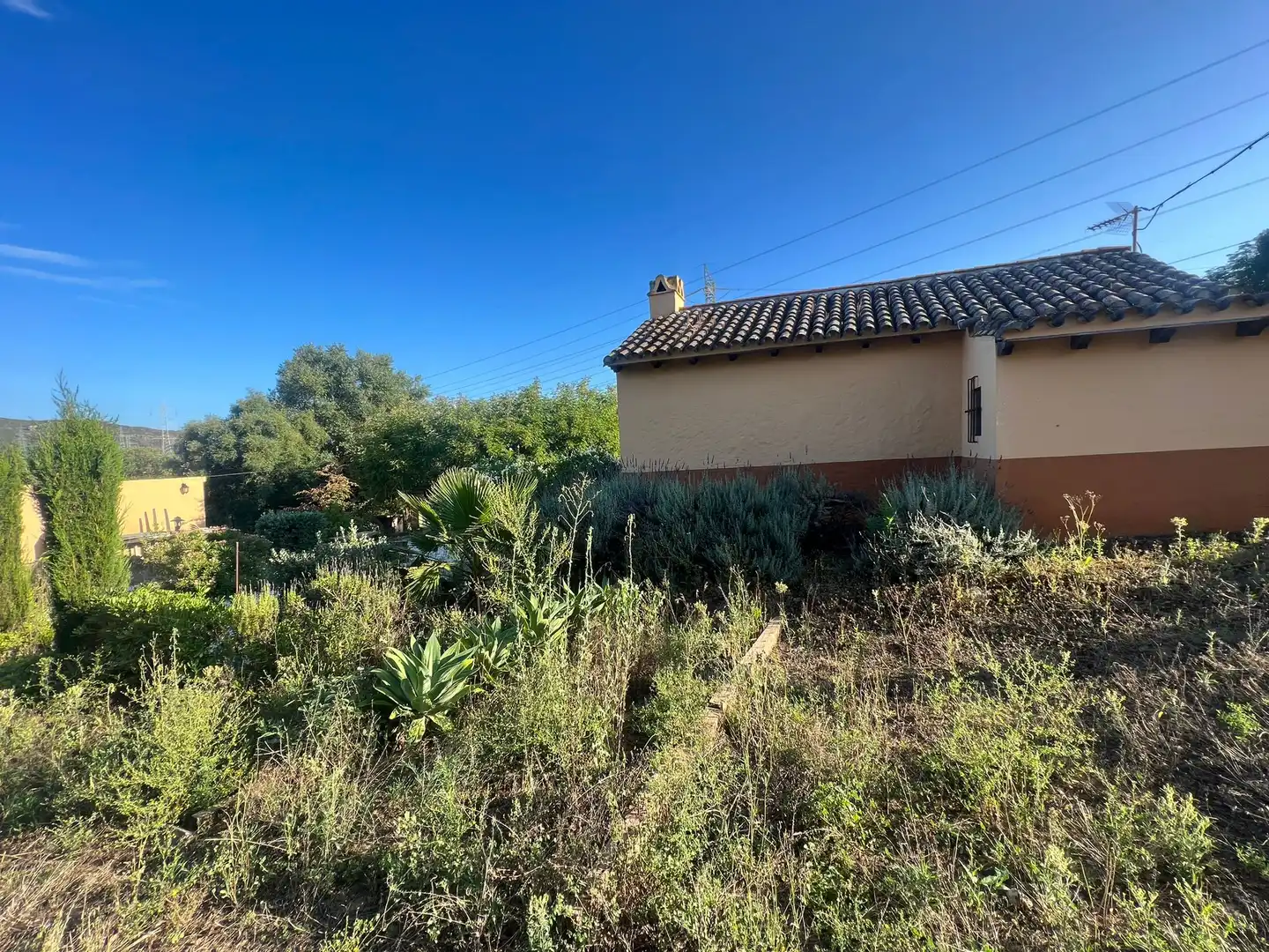 Terreno rustico in vendita a San Roque Pueblo, imagen 2