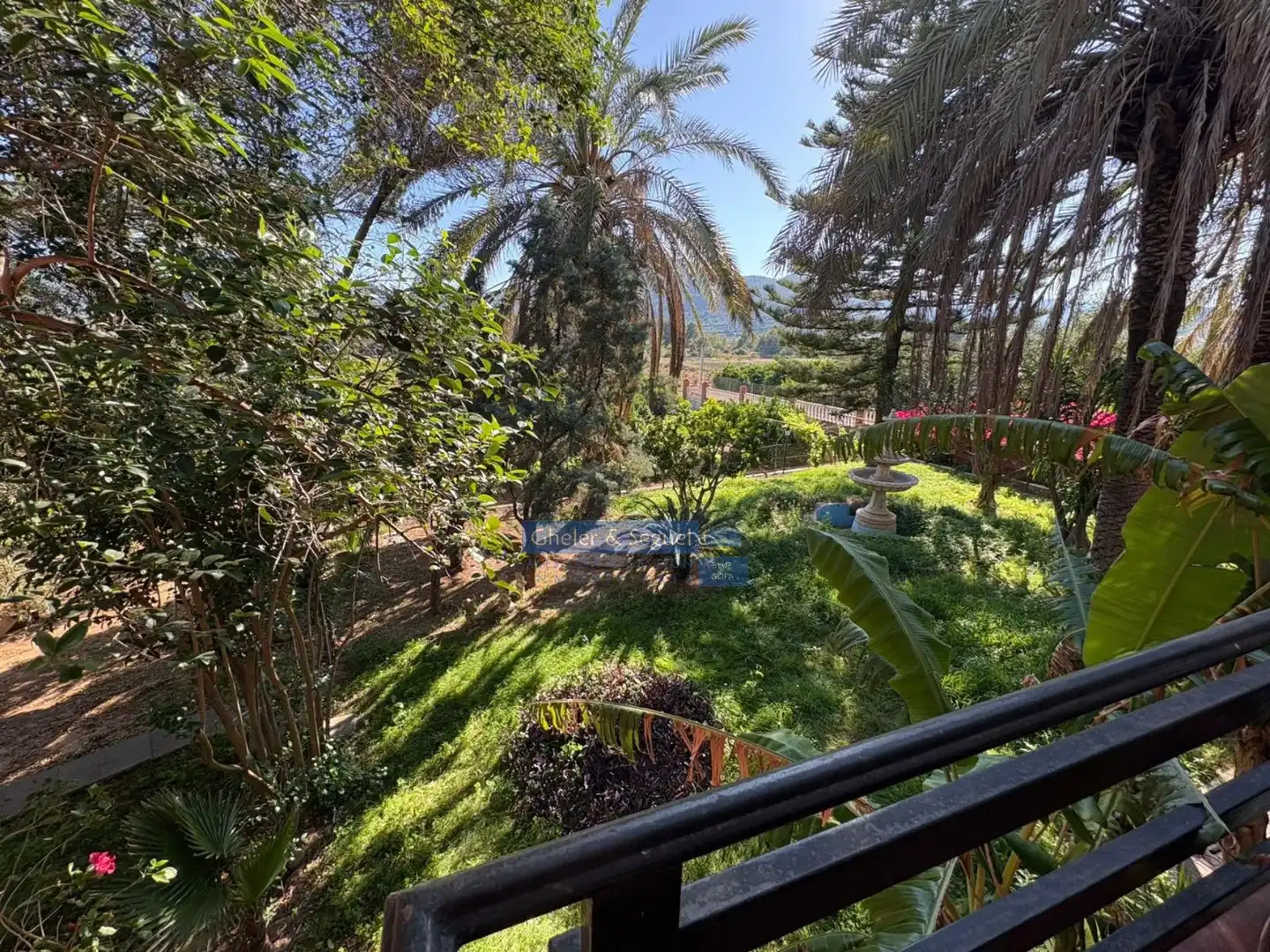 Jardín de Casa o chalet en venta en Albalat dels Tarongers con Terraza