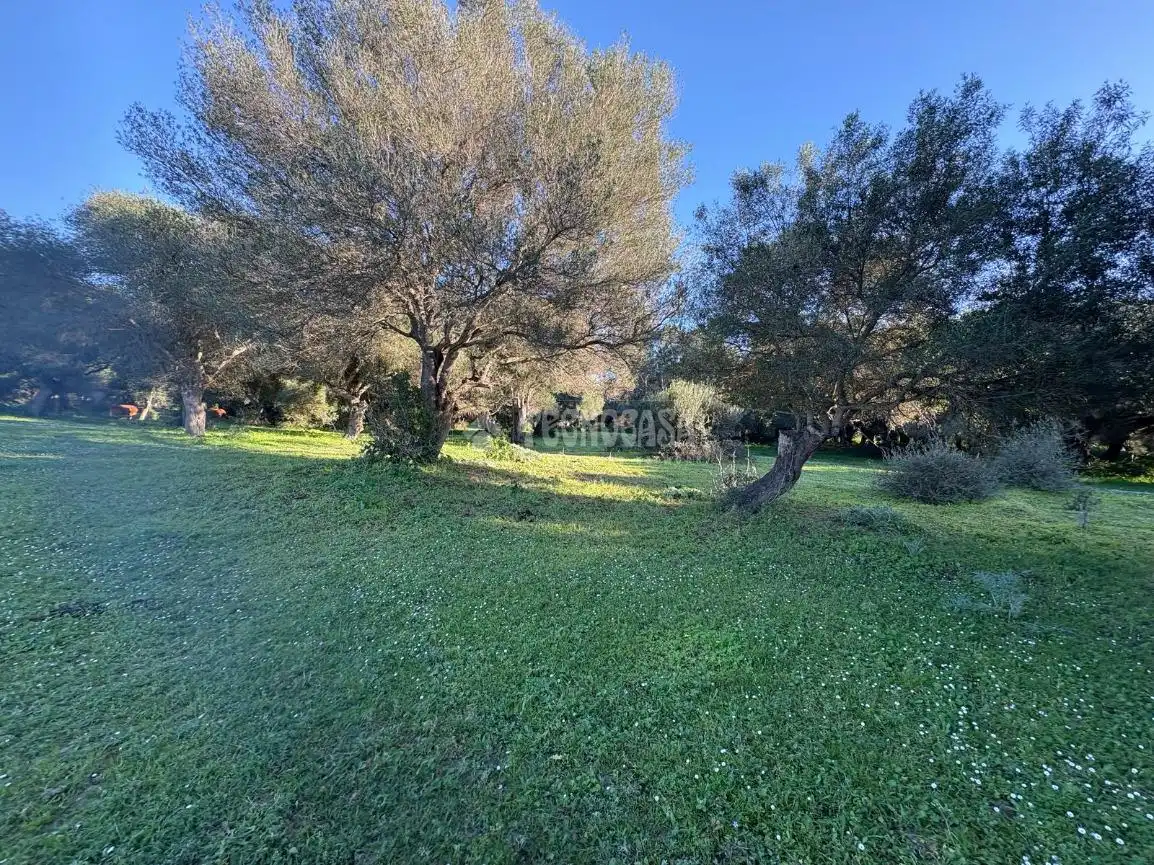 Terreno en venta en Barbate