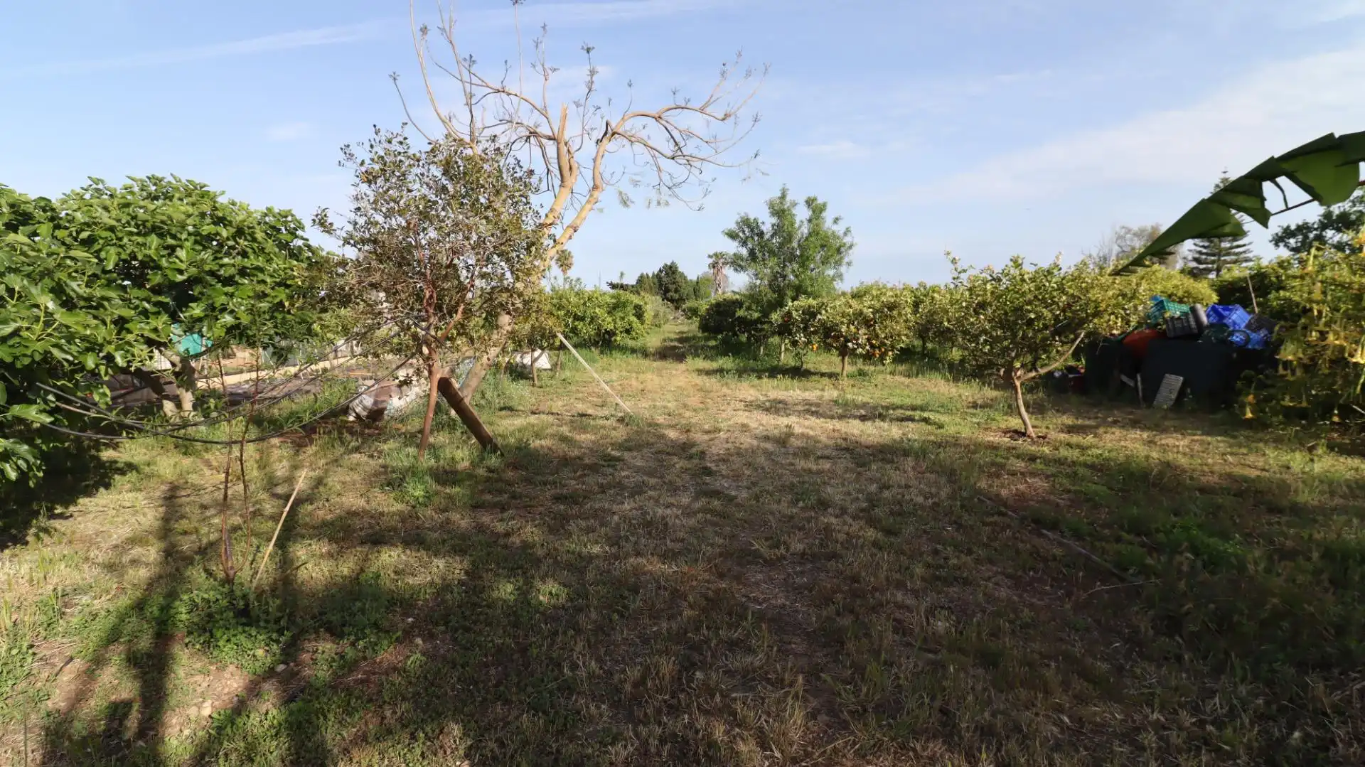 Finca rústica en venda en Alcanar amb Jardí privat i Piscina comunitària