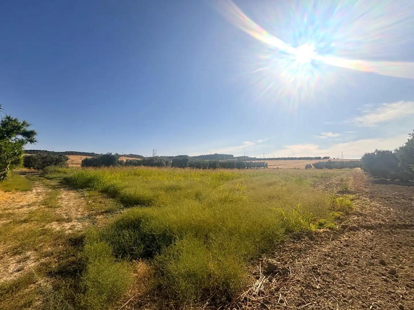 Rural land for sale in Valencina de la Concepción, imagen 6