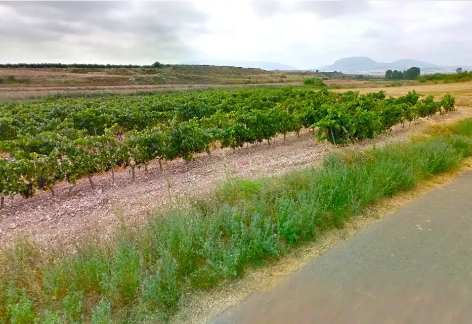 Terrenys i solars en venda a Alberite, imagen 4