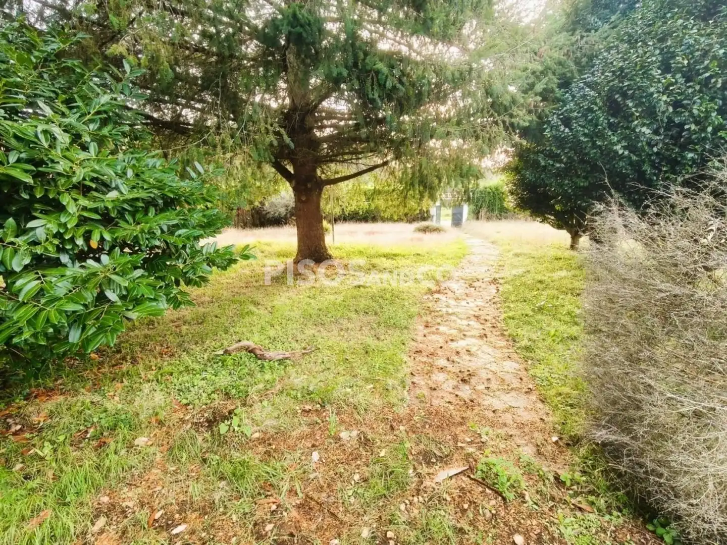 Terreni e lotti in vendita a Lugar FORNOS, imagen 5