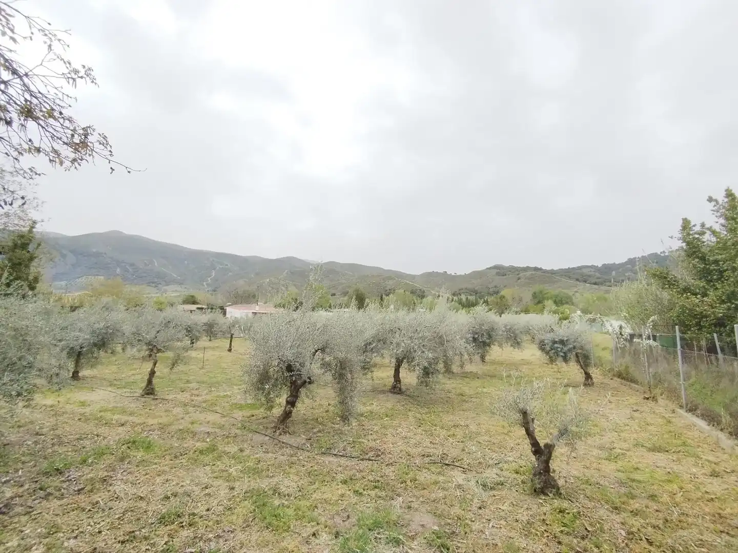 Terreni e lotti in vendita a Carretera Cenes de la Vega, imagen 13