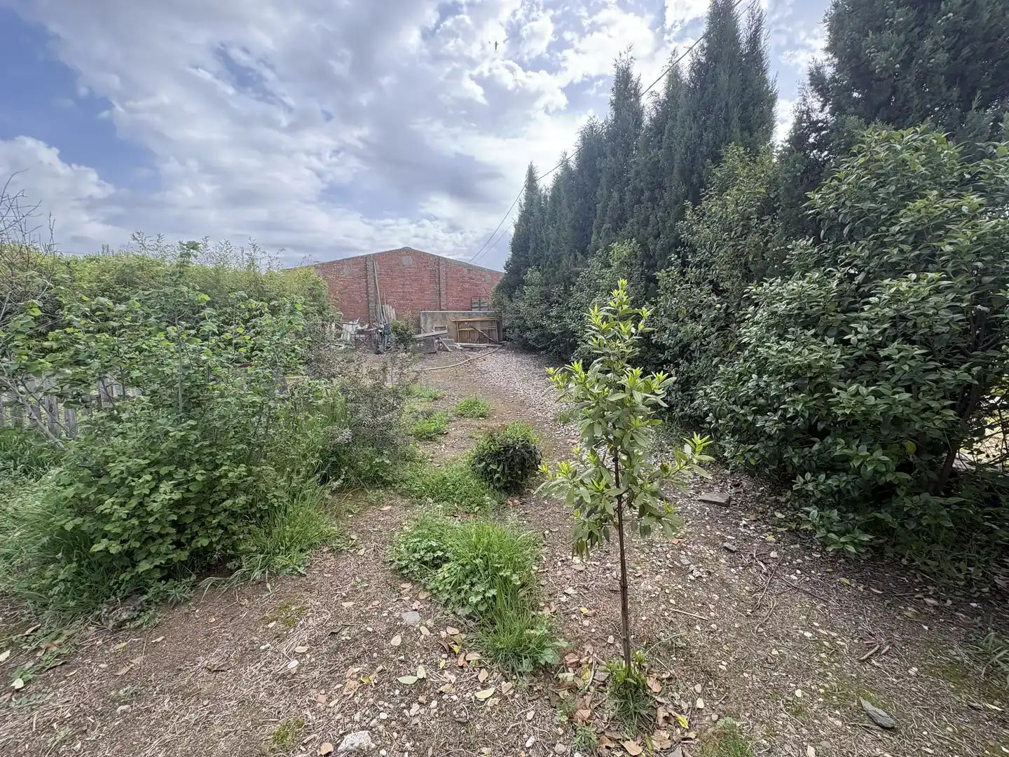 Finca rústica en venda a Calle Pozo Nuevo, Valdeverdeja