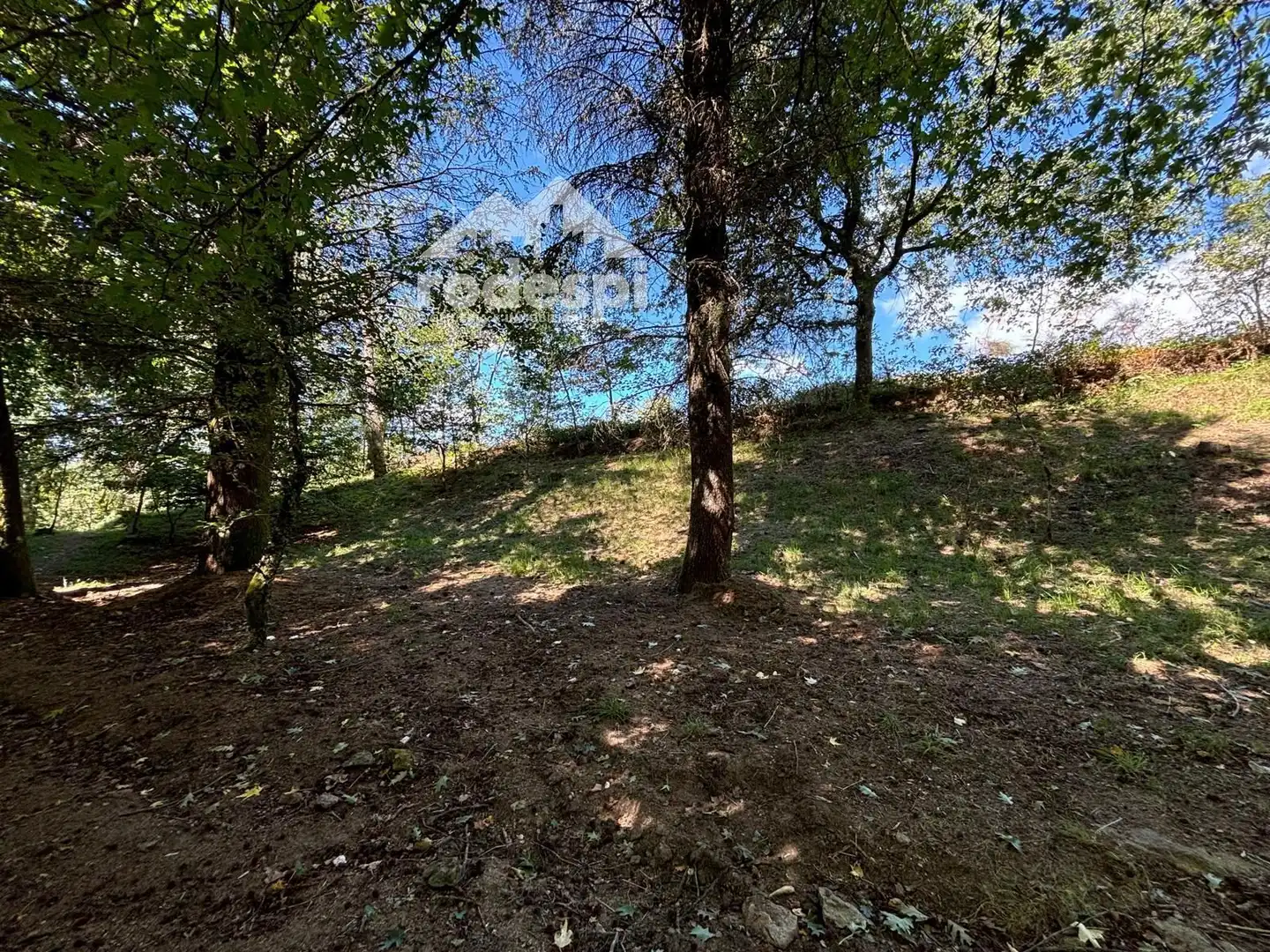 Terreny rústic en venda a A Cañiza, imagen 22