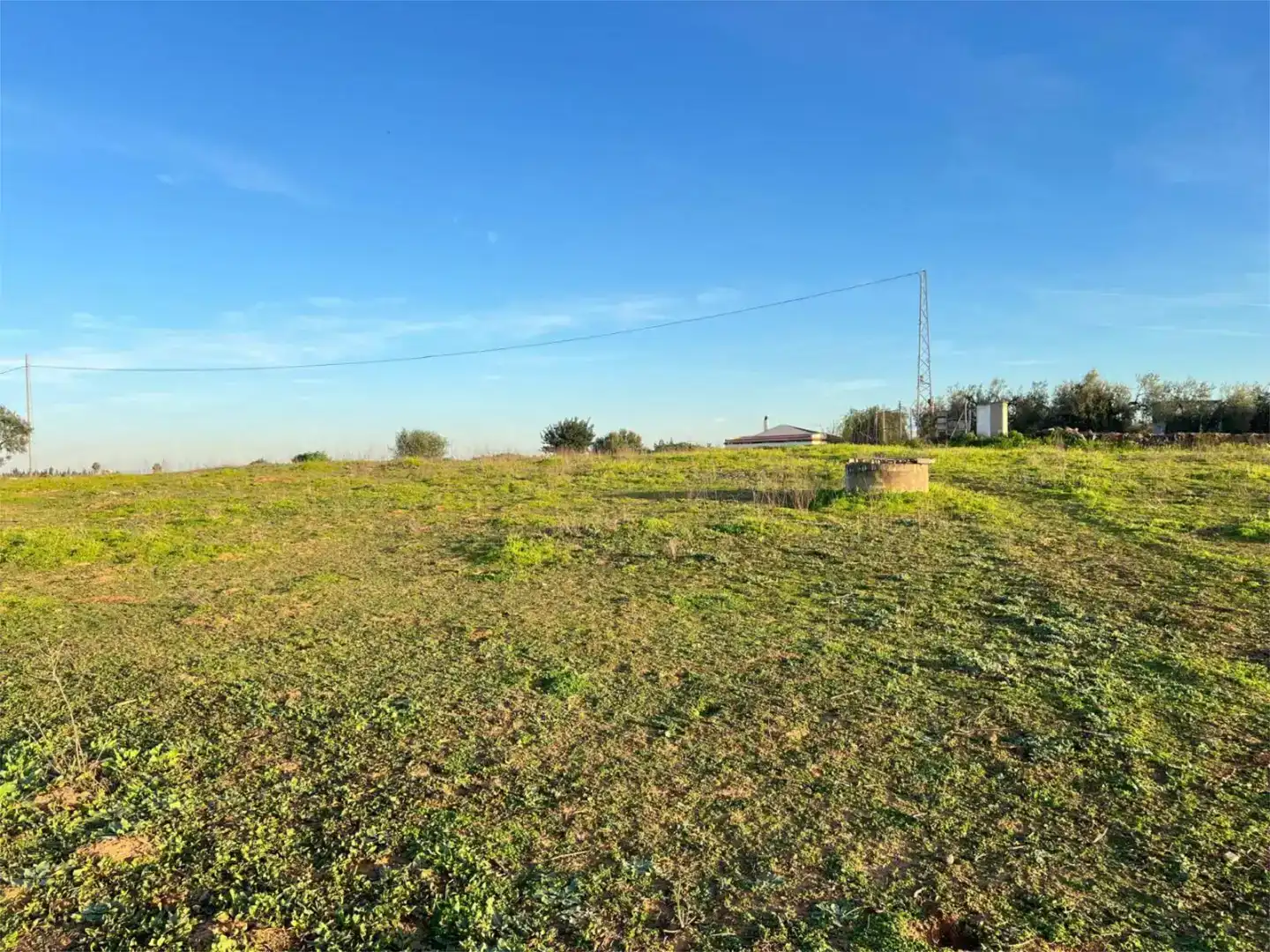Terreno en venta en Benacazón