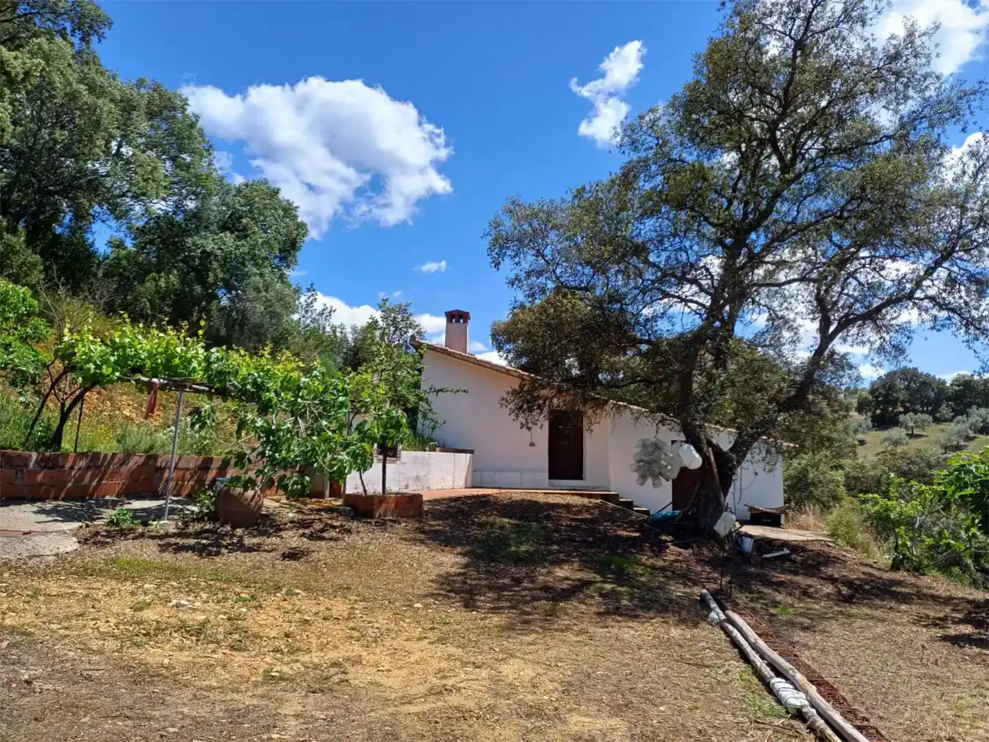 Garten von Grundstücke zum Verkauf in Castañar de Ibor