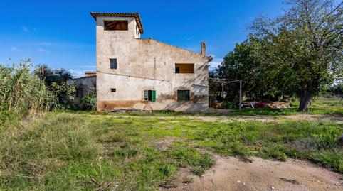 Photo 2 of Country house for sale in Son Ferriol, Illes Balears