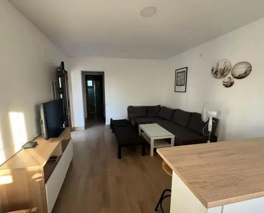 Living room of Country homes for sale in Chiclana de la Frontera  with Private garden, Parquet flooring and Terrace