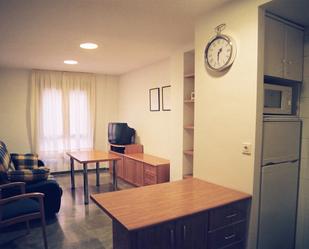 Living room of Flat to rent in  Granada Capital  with Air Conditioner, Furnished and Washing machine