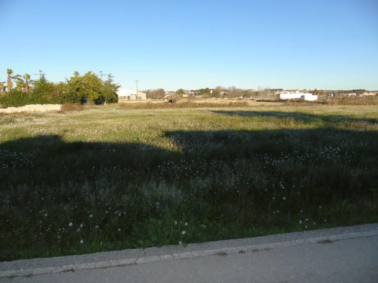 Terrenos y solares en venta en Las Torres de Cotillas, imagen 2