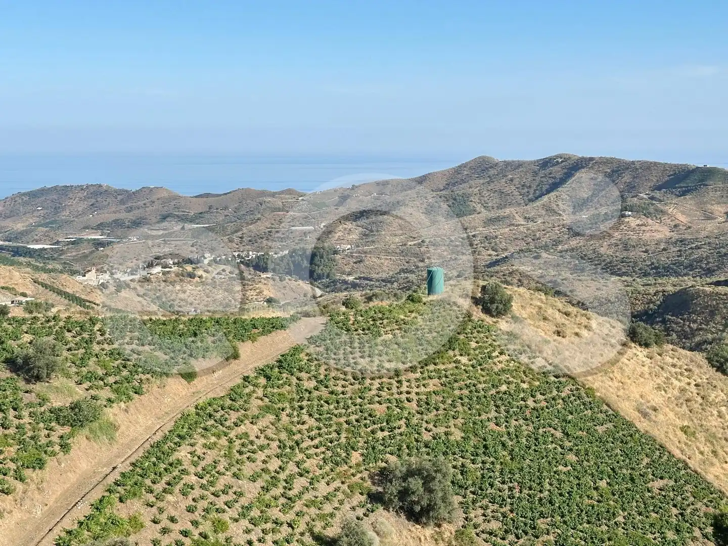 Vista exterior de Terreno en venta en Macharaviaya