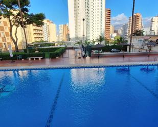 Piscina de Pis en venda en Benidorm amb Jardí privat, Terrassa i Piscina comunitària