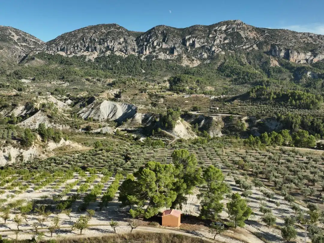Terreno en venta en Balones