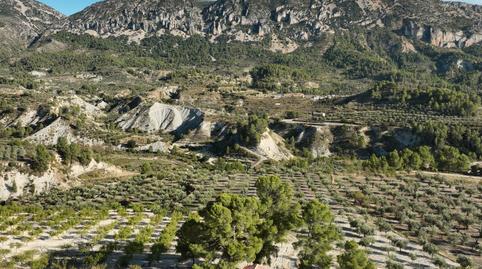 Photo 2 of Land for sale in Lugar Diseminados, 31, Balones, Alicante