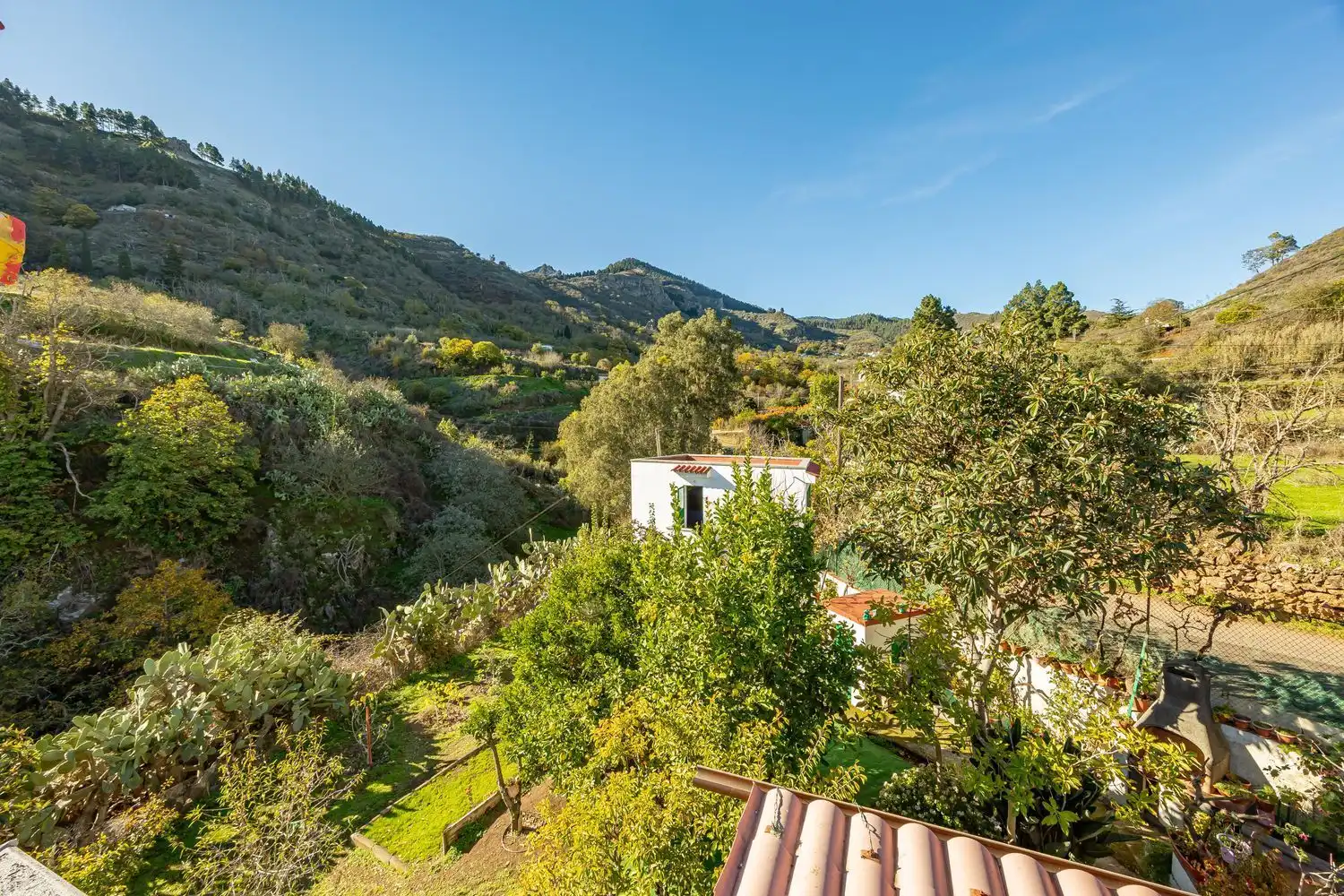 Jardí de Casa o xalet en venda en Vega de San Mateo amb Jardí privat i Terrassa