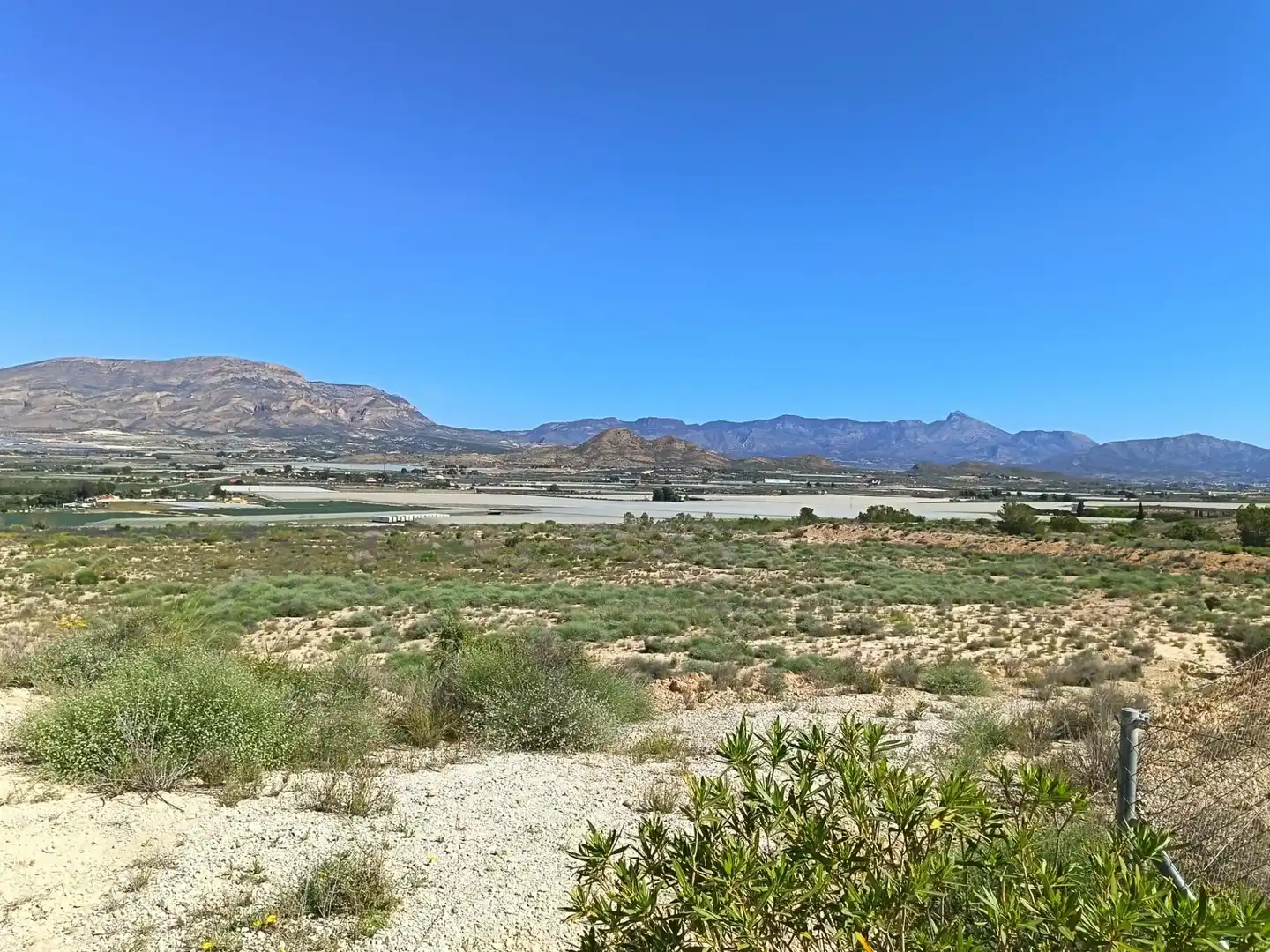 Terreno rústico en venta en Monforte del Cid, imagen 10