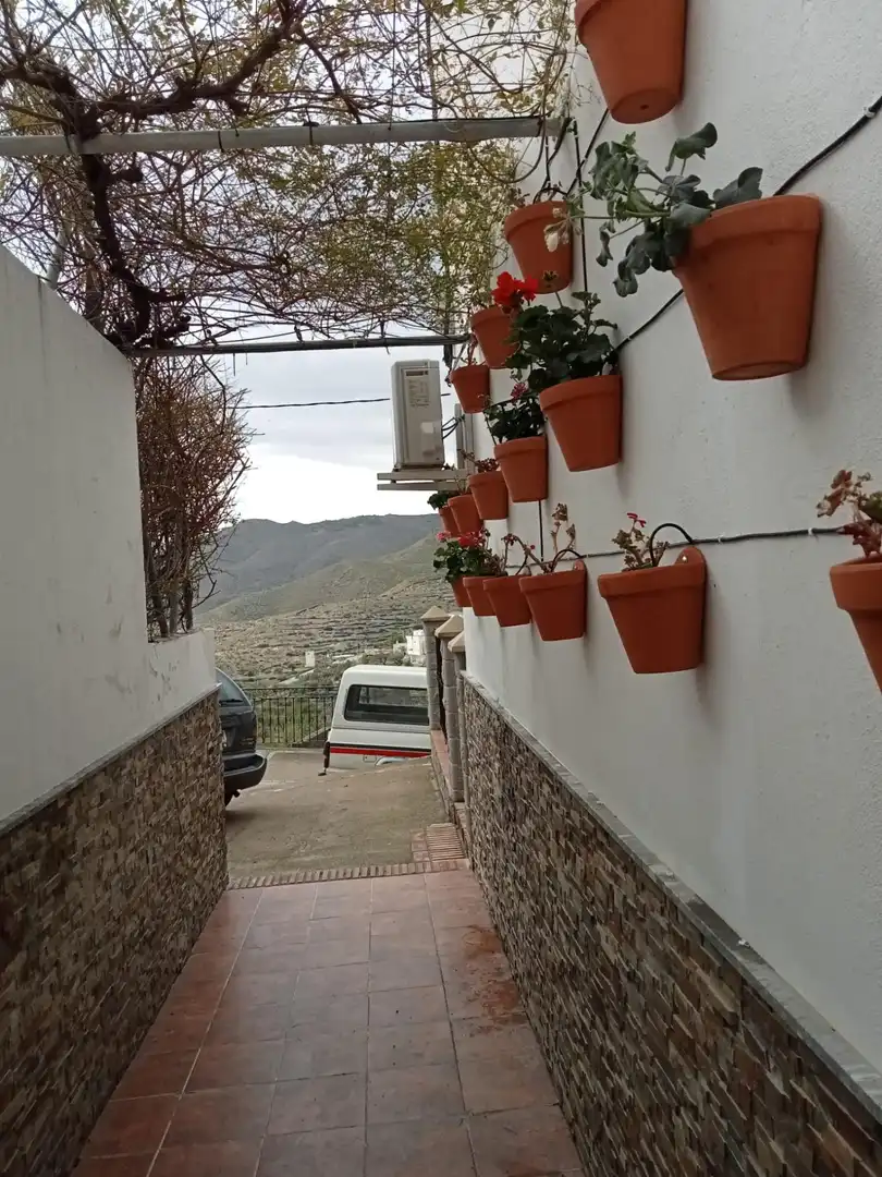 Vista exterior de Àtic en venda en Velefique amb Aire condicionat, Calefacció i Jardí privat