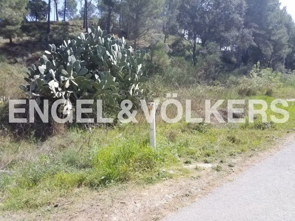 Terreno residenziale in vendita a Riudecanyes, imagen 9