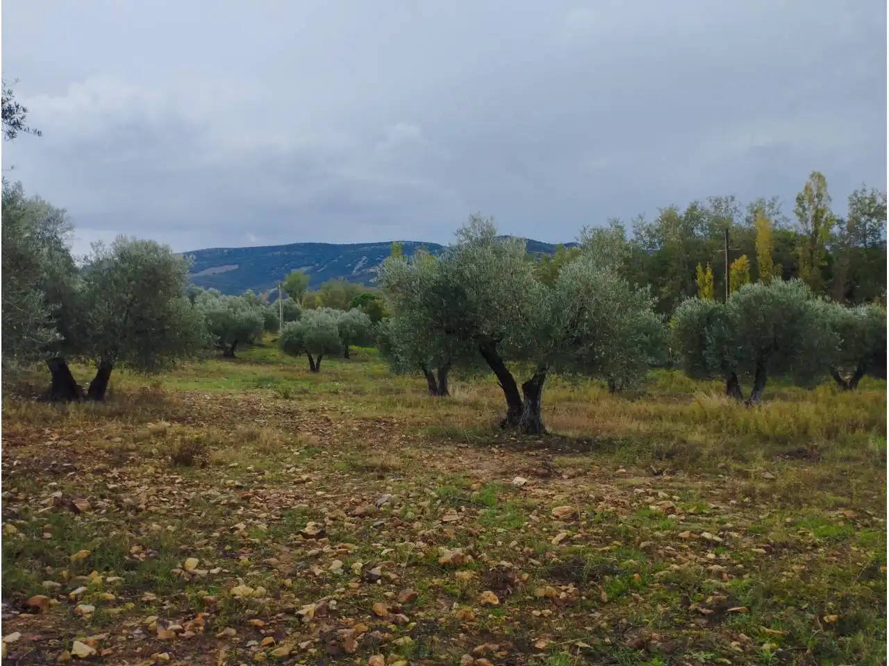 Terrenos y solares en venta en Badajoz, imagen 16