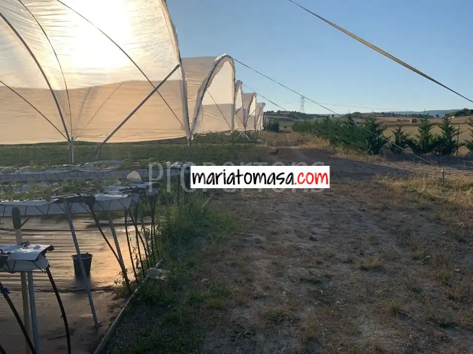 Lands and plots for sale in Zona rural noroeste, imagen 4
