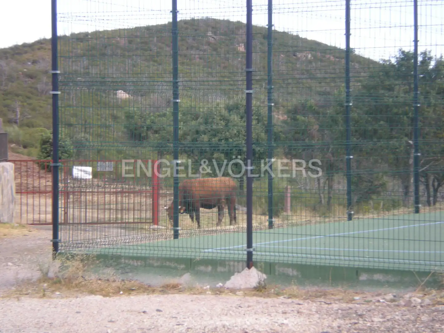 Terreny residencial en venda a Torremocha de Jarama, imagen 3