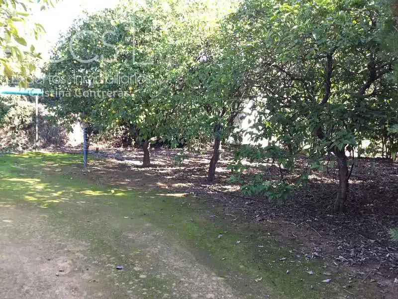 Villa avec piscine à vendre à Sanlúcar la Mayor, imagen 43