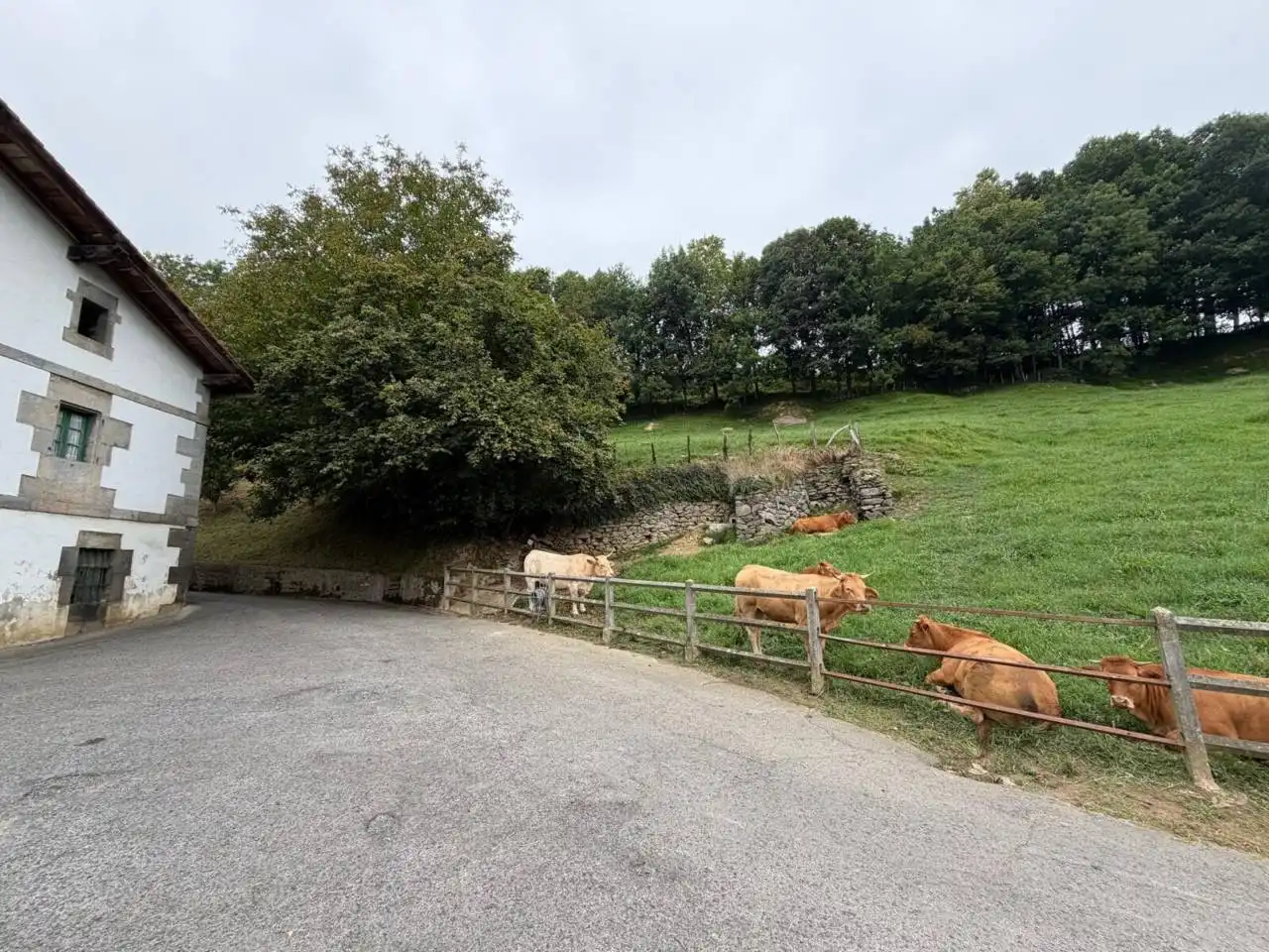 Parking of Houses for sale in Hernialde  with Private garden, Terrace and Furnished