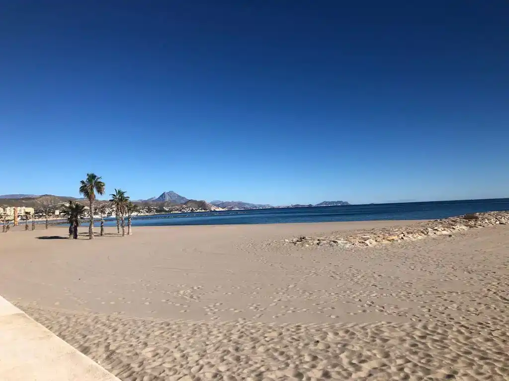 Vista exterior de Pis en venda en El Campello amb Aire condicionat, Jardí privat i Piscina