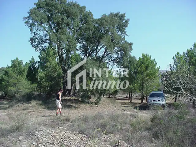 Terreny residencial en venda a Polígono Butaros 181, imagen 17