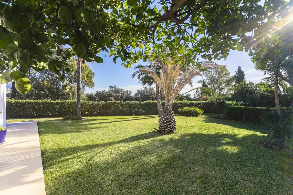 Chalet con piscina en venta en Avenida Pablo Ruiz Picasso, imagen 22