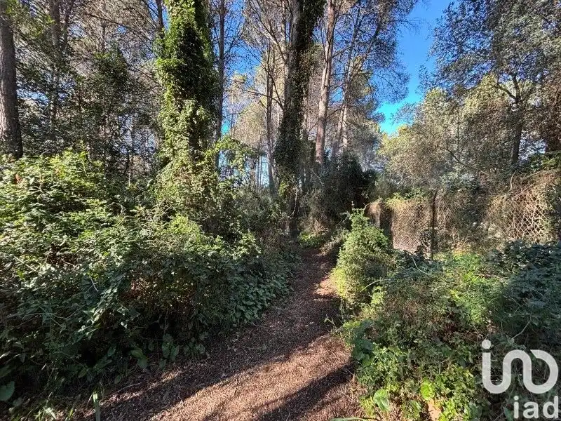 Maison rustique à vendre à Parcent, imagen 19