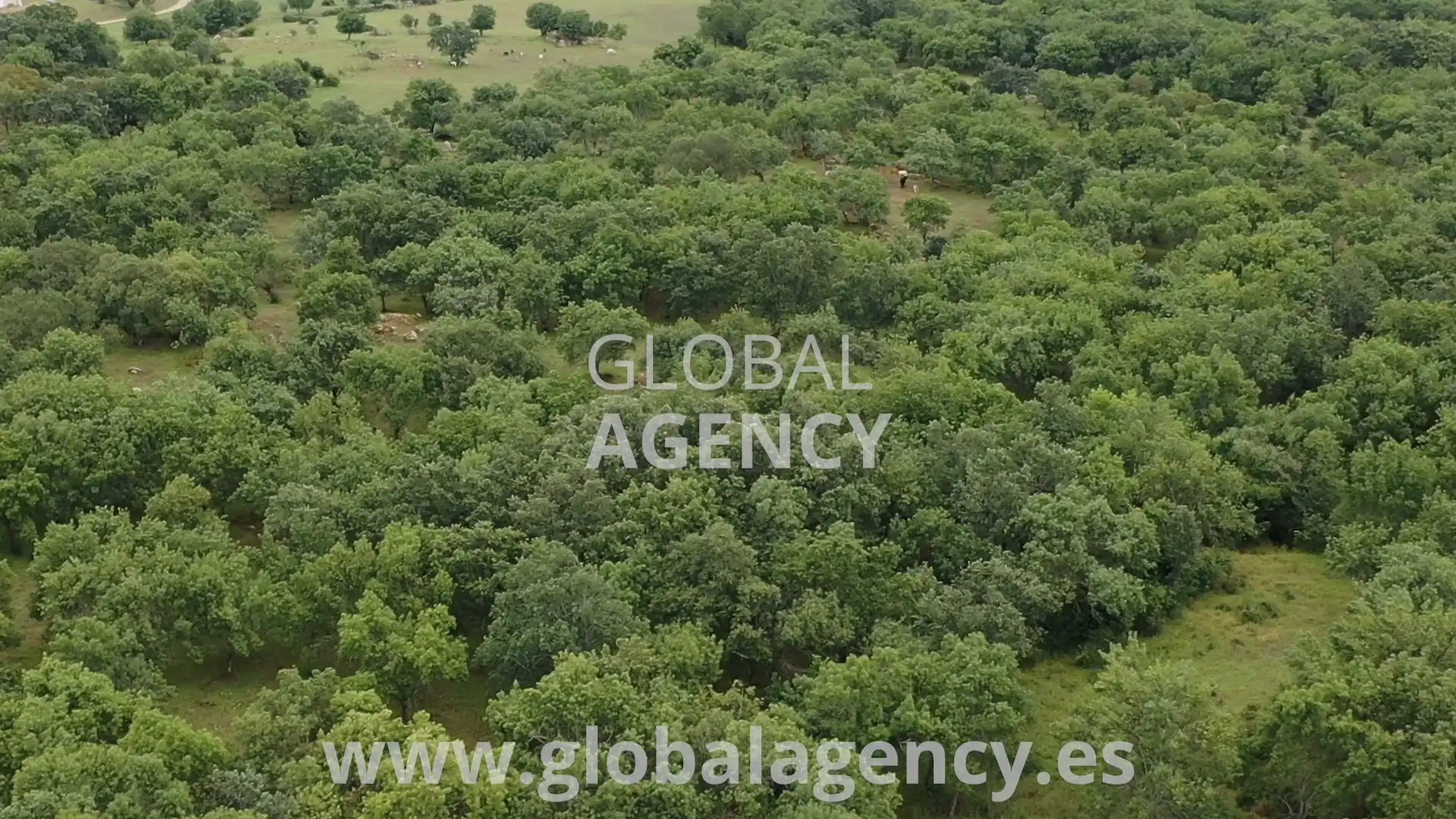 Rural land for sale in Soto del Real, imagen 5