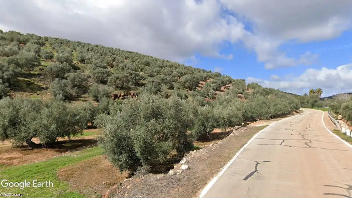 Terreni e lotti in vendita a Santisteban del Puerto, imagen 8