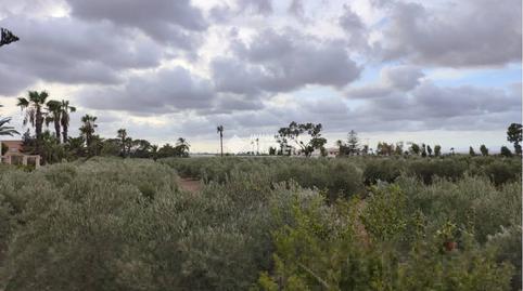 Photo 4 of Land for sale in San Ginés a, San Antón, Murcia