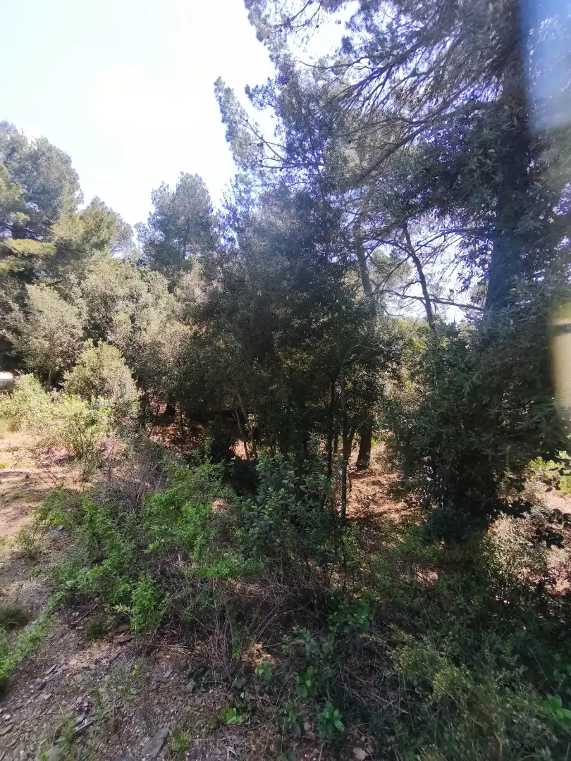 Terrain résidentiel à vendre à Carrer de la Font del Querol 19, imagen 12