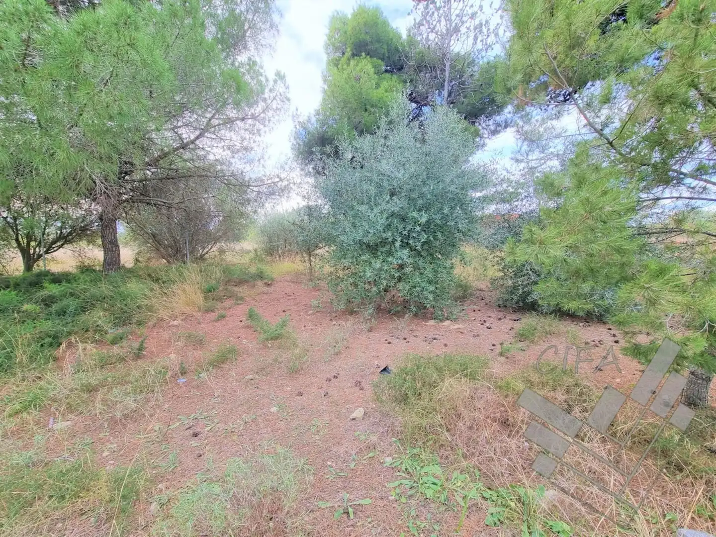 Terreno rustico in vendita a PAPA JUAN XXIII, imagen 19