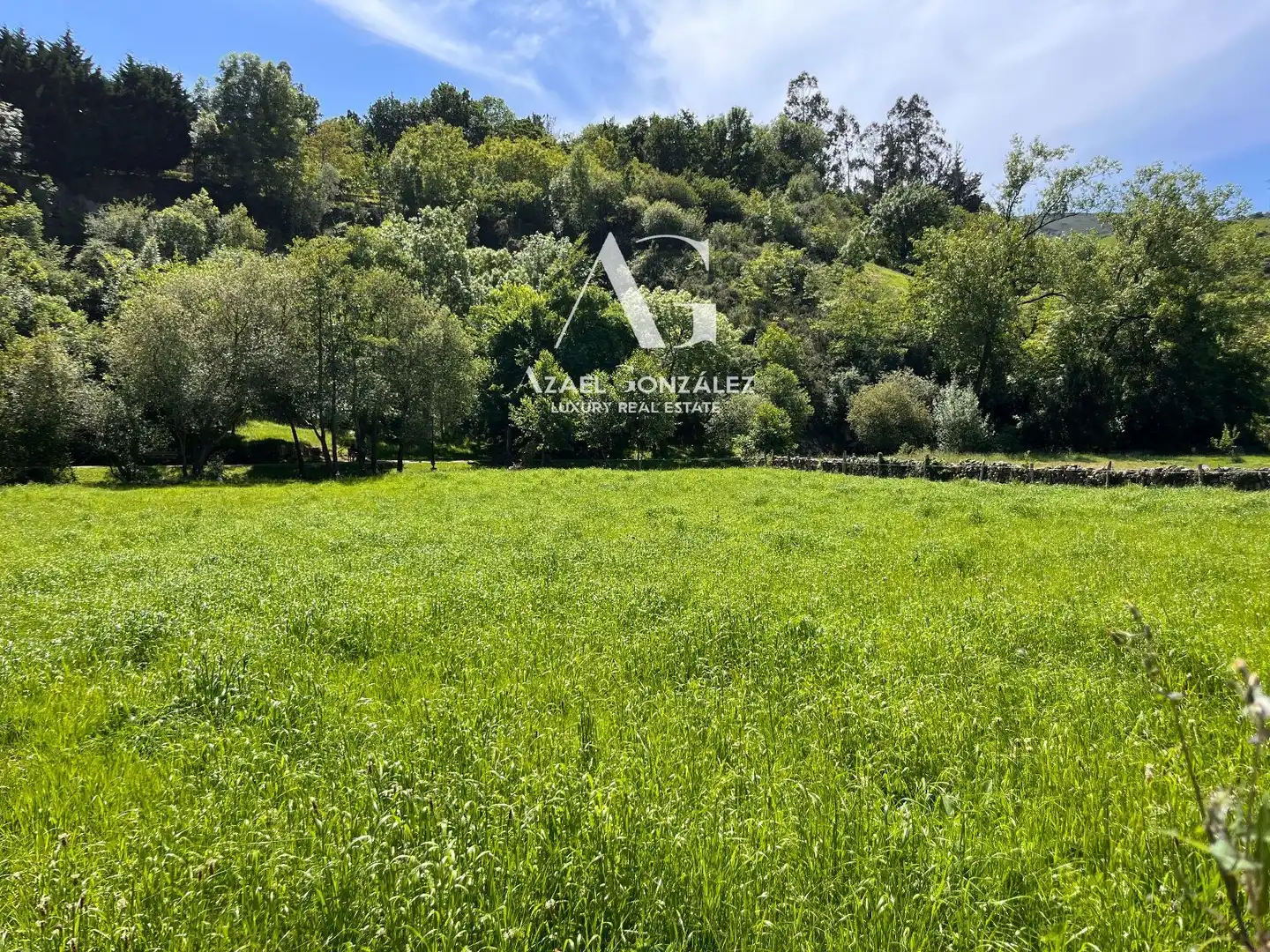 Land for sale in Ruente