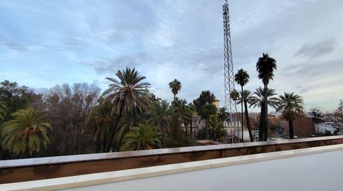 Photo 5 of Office for rent in Sector Sur - La Palmera - Reina Mercedes, Sevilla Capital