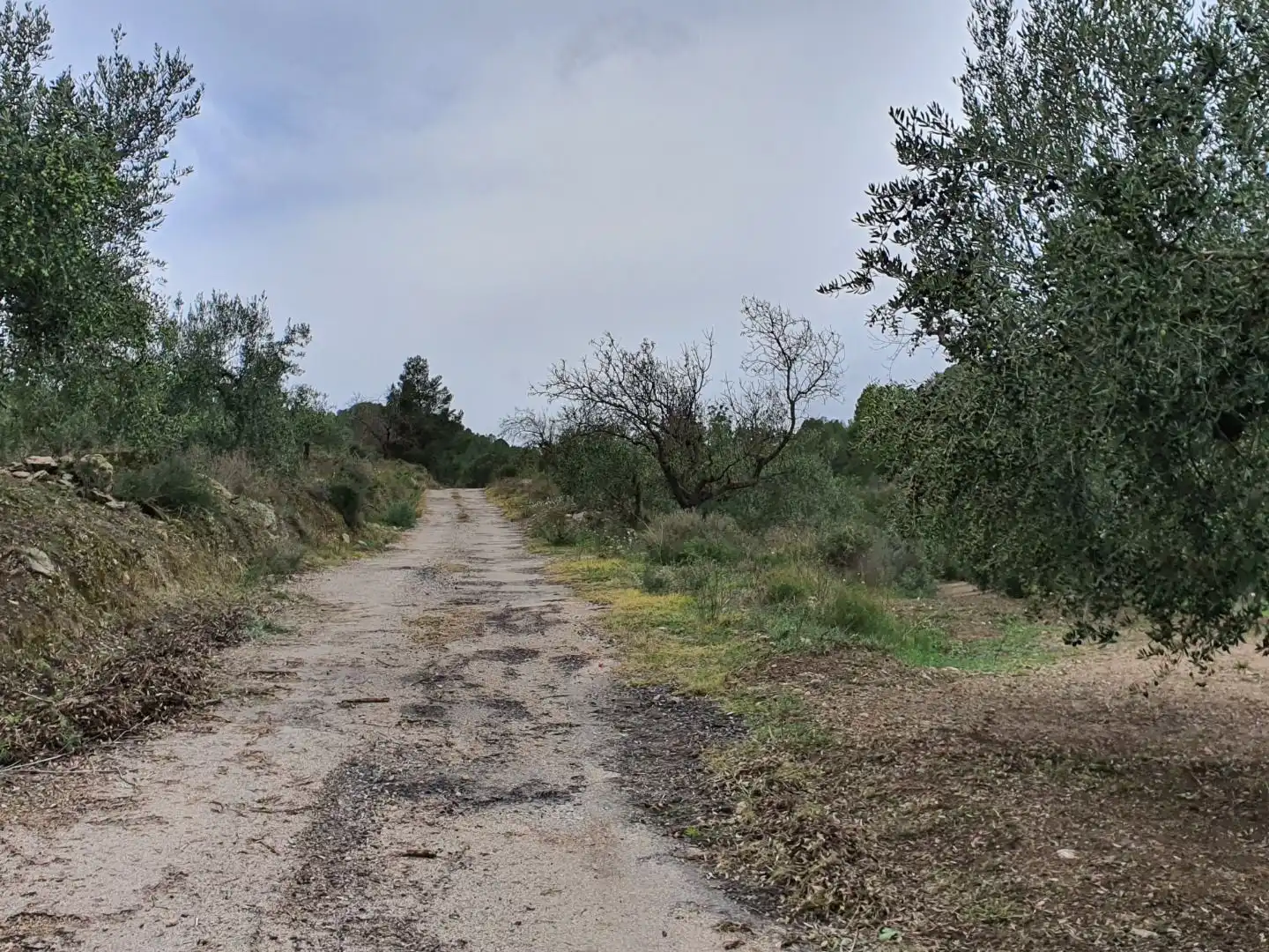 Maison à vendre à Benifallet, imagen 54