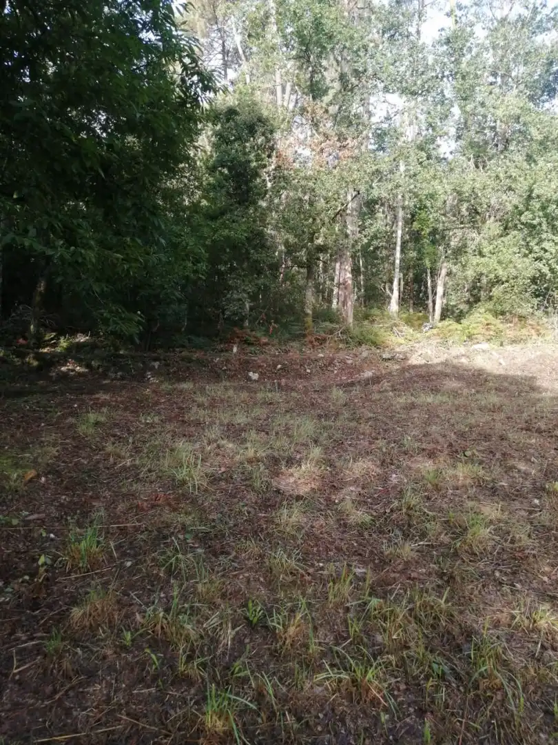 Terrains et parcelles à vendre à Ponteareas, imagen 9
