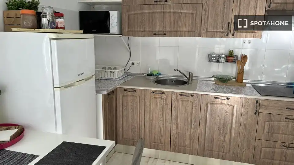 Cuina de Apartament per a compartir en Granada amb Aire condicionat, Terrassa i Moblat