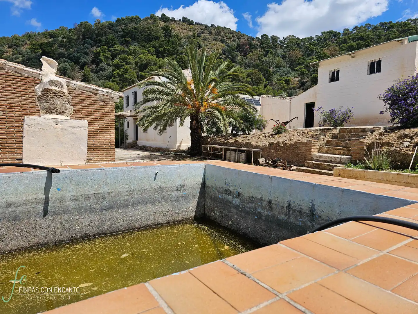 Piscina de Finca rústica en venda en Málaga amb Calefacció, Jardí privat i Piscina