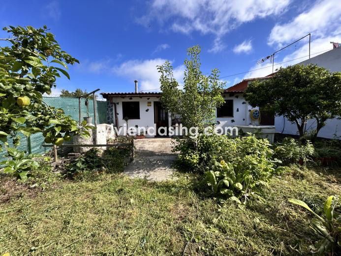 Vista exterior de Finca rústica en venda en Los Realejos