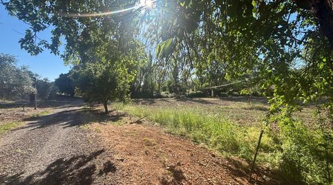 Foto 2 de Finca rústica en venda a Área Rural-Valverde-Las Casas, Ciudad Real Capital