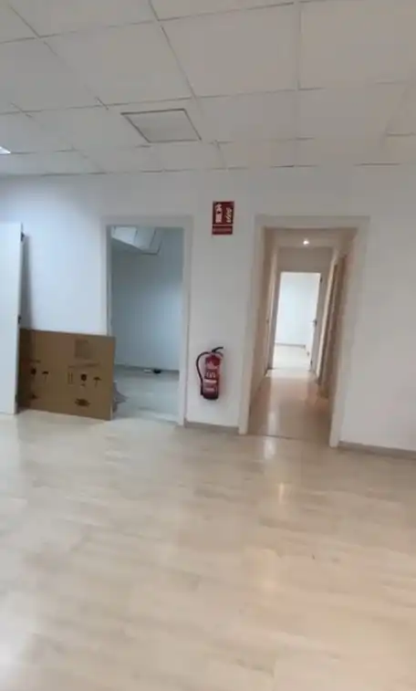Local comercial de lloguer a Avinguda Oscar Espla 15, imagen 6