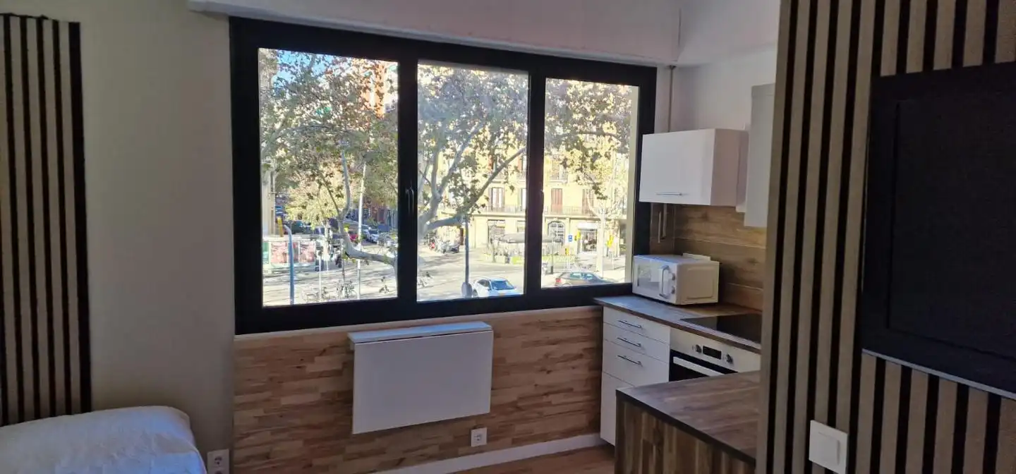 Kitchen of Study for rent in Barcelona  with Heating and Furnished