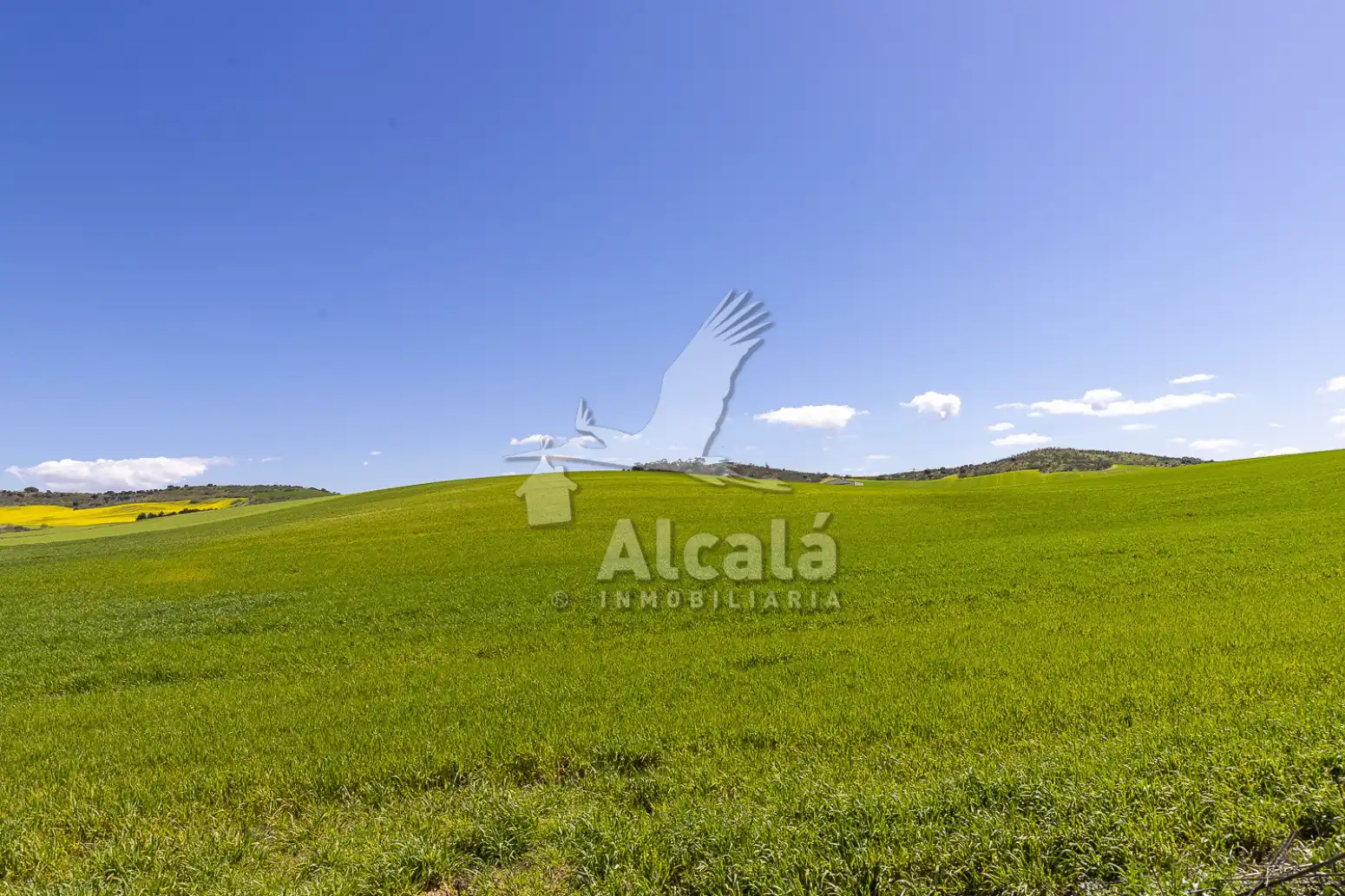 Terreno en venta en Torrejón del Rey
